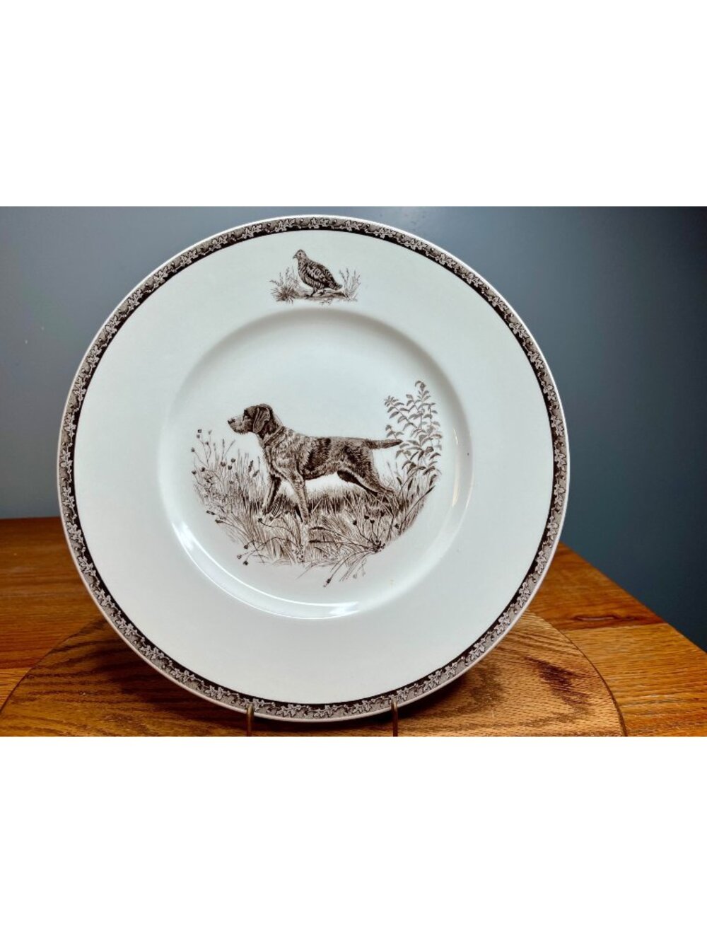 Marguerite Kirmse The American Sporting Dog Plates By Wedgwood  Wirehaired Point